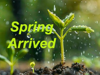 The Awakening Earth: Celebrating Lichun, The Start Of Spring